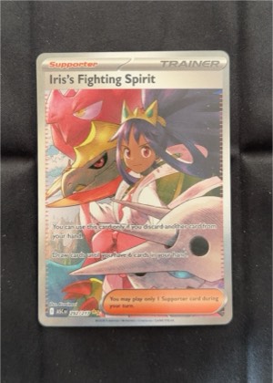 Iris's Fighting Spirit graded 7