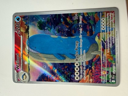 Wailord, graded 9.5