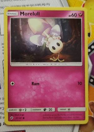 Morelull, graded 8.5