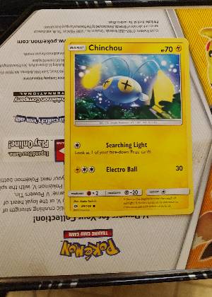 Chinchou, graded 9.0