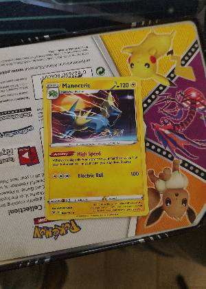 Manectric, graded 9.0