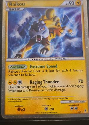 Raikou (Shiny), graded 7.5