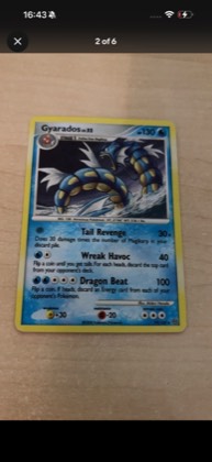Gyarados graded 8