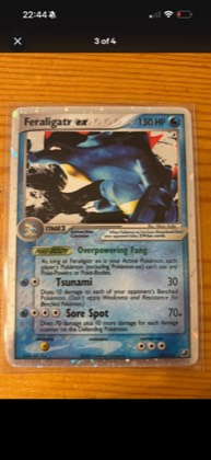 Feraligatr ex, graded 9.0