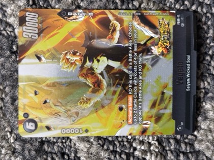 Vegeta, graded 9.5