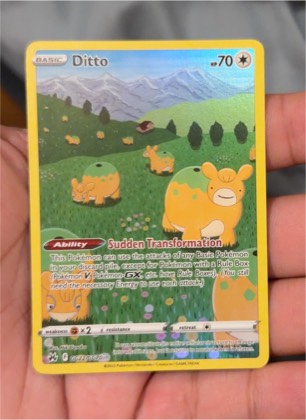 Ditto graded 9.5