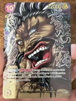 Kaido, graded 9.0