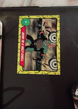 Michelangelo, graded 7.5