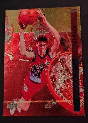 Shawn Bradley, graded 9.0