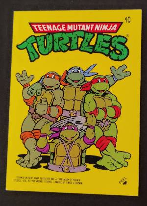 Teenage Mutant Ninja Turtles 1989 Mirage Studios Trading Card, graded 8.0