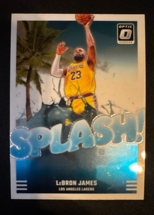 LeBron James, graded 9.5
