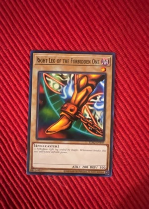 Right Leg of the Forbidden One, graded 9.0