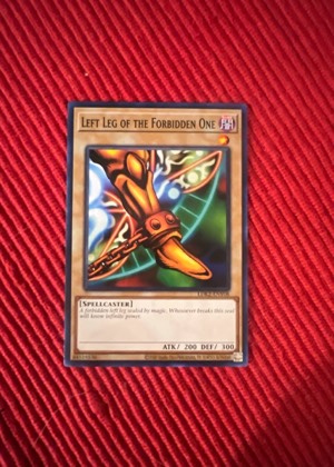 Left Leg of the Forbidden One, graded 9.0