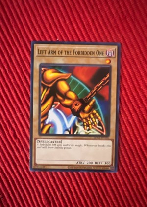 Right Arm of the Forbidden One, graded 9.0