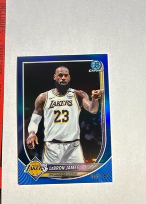 LeBron James, graded 9.5