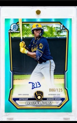 Brailyn Antunez, graded 9.0