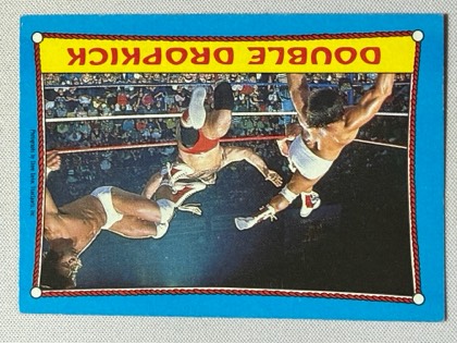 Rick Martel & Tom Zenk, graded 8.5