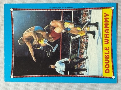 Double Whammy (Raymond & Jacques Rougeau), graded 9.0
