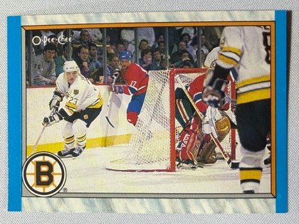 Boston Bruins (Team Leaders), graded 8.0