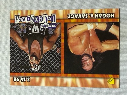 Hogan v. Savage, graded 9.0