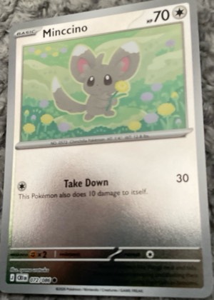 Minccino, graded 7.5
