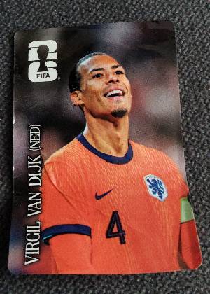 Virgil van Dijk, graded 2.5