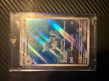 Wartortle, graded 9.5