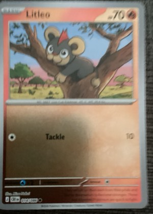 Litleo graded 8