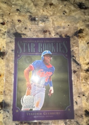 Vladimir Guerrero, graded 8.0
