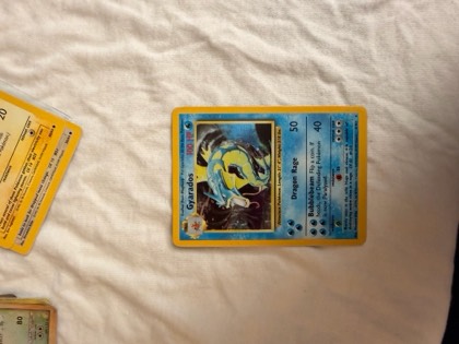 Gyarados, graded 4.0