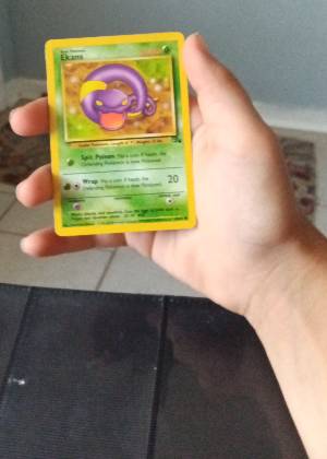 Ekans, graded 8.0