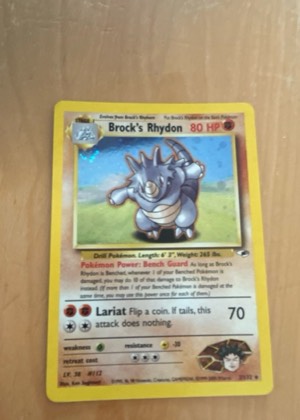 Brock's Rhydon graded 9