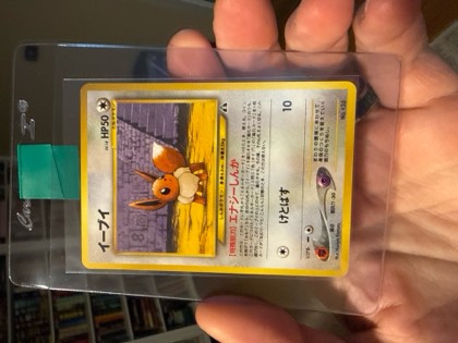 Eevee, graded 8.0