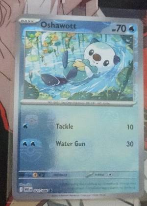 Oshawott, graded 8.0