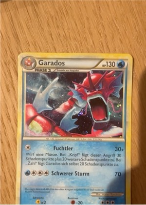 Gyarados graded 8