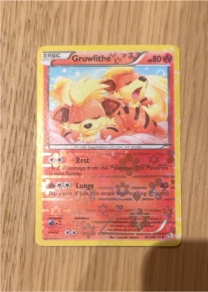 Growlithe, graded 8.0
