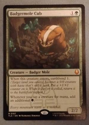 Badgermole Cub, graded 9.0