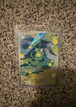 Budew, graded 9.0