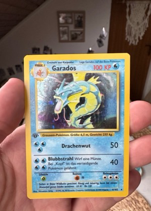 Garados graded 6 & below