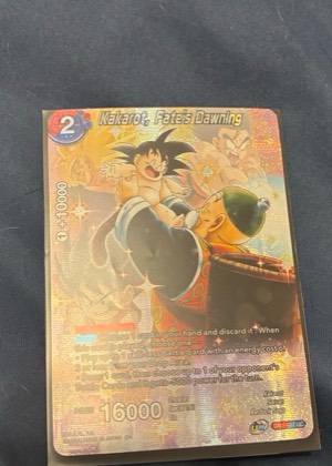Kakarot, Fate's Dawning, graded 8.5