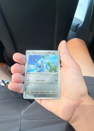 Skarmory graded 8.5