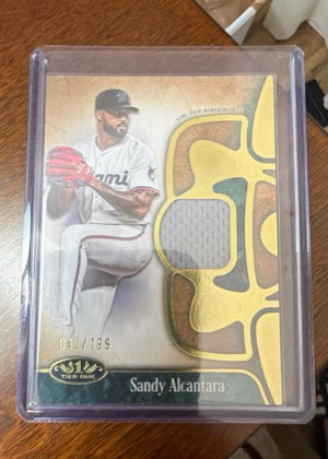 Sandy Alcantara, graded 9.0