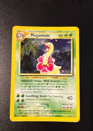 Meganium, graded 8.0