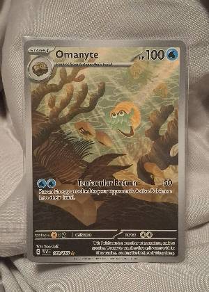 Omanyte - 180/165 graded 9