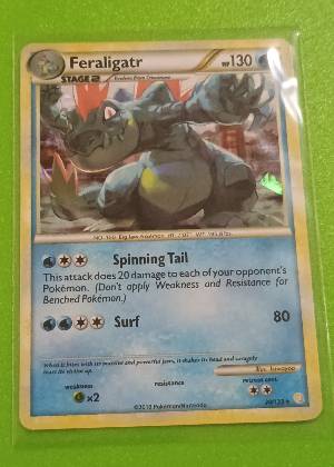 Feraligatr, graded 9.0