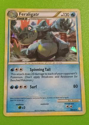 Feraligatr, graded 9.0