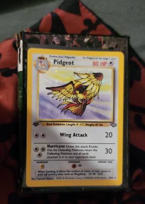 Pidgeot, graded 9.0