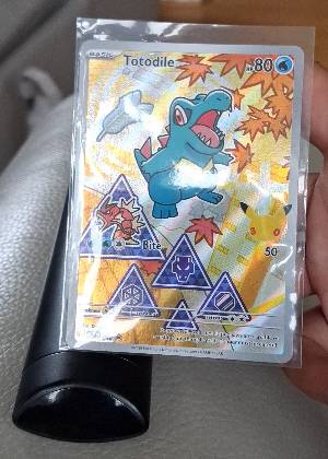 Totodile, graded 9.0