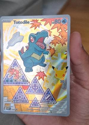 Totodile, graded 9.0