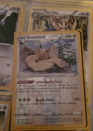 Stoutland, graded 8.5